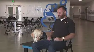 Bond Between a Veteran and His Service Dog