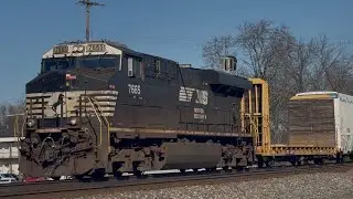 NS manifest! 