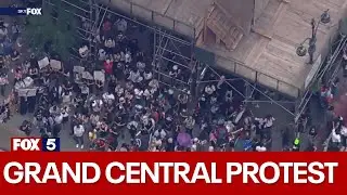 Protesters attempt to 'shut down' Grand Central causing major delays