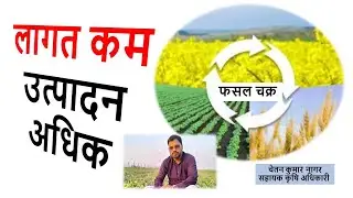 Why is crop rotation necessary? How crop rotation helps farmers. What is the best crop rotation?