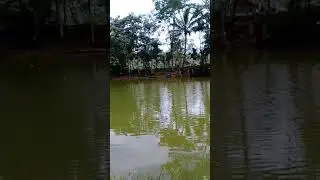 kolam pancing tungang lebong