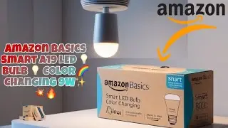 Amazon Basics Smart A19 LED Light Bulb, Color Changing 9W