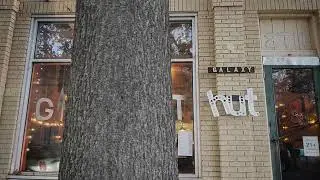 The Moonbugs - A Stranger World Through A Window Pane