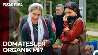 Yıldız Yılmaz Zengin Olma Yolunda #69: Julia Bizi Görme, Biz Seni Gördük - Yasak Elma