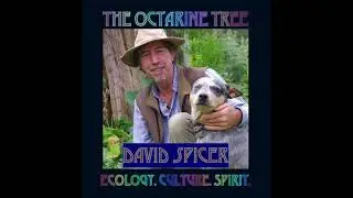 13: The Spice of Life with David Spicer