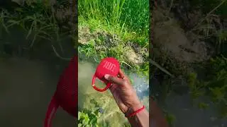 Jbl clip 5 fail