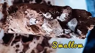 Full Swallow 🤤😋#asmr #mukbang #clay #eating 