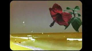 Flughand - laid [Official Music Video]