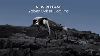 🐾NextGenEntertainment | Meet the Yaber Cyber Dog Pro 🎥