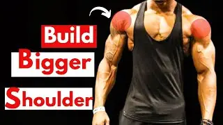 5 Best Exercises for Shoulders | How To Get Bigger Shoulders