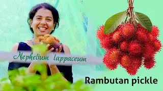 റംബുട്ടാൻ അച്ചാർ ഇങ്ങനെയും