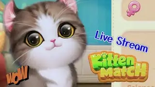 Kitten Match time🐹🎵