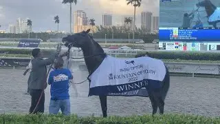 Simplification wins 2022 Fountain of Youth