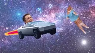 Keyboard Cat-Elon-Tesla