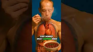 What happens when you eat kidney beans? #seniorhealth #wellness #didyouknow #viral