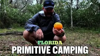 Florida Primitive Camping- Alafia River Corridor North