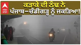Punjab Weather Today | Alert Issued | ਕੜਾਕੇ ਦੀ ਠੰਢ ਨੇ ਪੰਜਾਬ&ndash;ਚੰਡੀਗੜ੍ਹ ਨੂੰ ਜਕੜਿਆ!