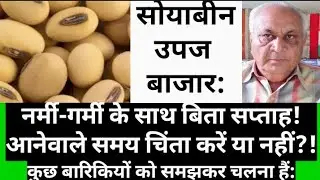 सोयाबीन बाजार: सप्ताह कुछ नरमी-गरमी के साथ बिता! आगे के लिए कितनी चिंता?! क्या समझदारी दिखाएं?