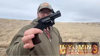 Обновление по игре Colt Night Cobra. С неожиданной развязкой! 😬