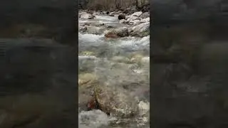 Himalayan river ￼