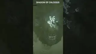 Shadow of Colossus #shadowofcolossus