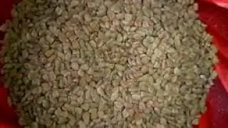 Naturopathy For Diabetes