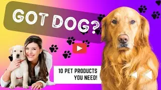 10 Amazon Dog Products - Must Haves & Favorites For #dogs