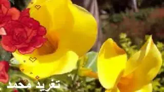 االطيب عبد الله   راح زمان كان لى مكانه وكنت اقرب منى لي