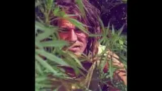 HANS S&Ouml;LLNER - Edeltraud (live)