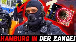 Der Hafen Unterwandert: Der Geheime Krieg Gegen Die Mocro-Mafia