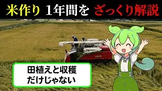 【農家さんに感謝！】米作りの１年（ver.1.0）