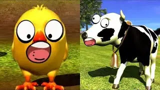 El Pollito Pío 3D Canciones Gritando | Toro Tractor | La Granja de Zenón | Versión con gritos!