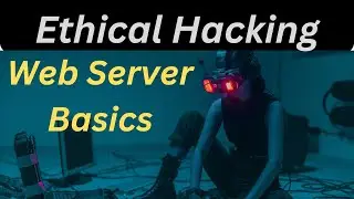 Web Server 101: Unraveling the Basics