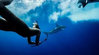 SHARK ENCOUNTER AND BIG WAVE SUPSQUATCHING WITH ROMAN ATWOOD