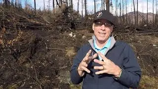 0268 Swan Fire Devastation Kenai Alaska LEADER VERSION
