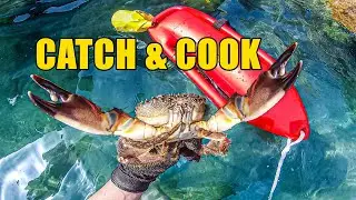 STONE CRABS The Ultimate CATCH & COOK Guide 4K