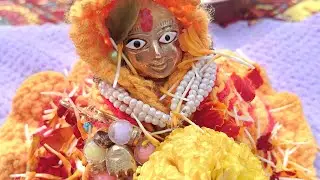 Laddu Gopal ka partidin shan ka video #youtubeshorts #laddu #views #viral #radha  #lovemusic #kahna 