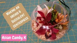 Making an Orchid and Succulent centerpiece
