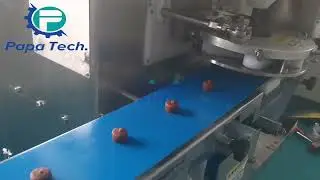 Papa CE Approved Arancini Rice Balls Making Machine