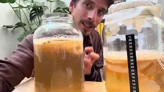 2 - Tempo de Fermentação