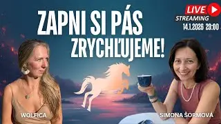 Jak se nezbláznit v 2026