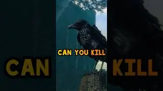 Can you Kill the Crow in DARK SOULS?