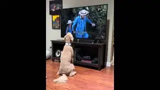 (Mostly) Eleanor Watching The Waltons (S5.E16)(John's Crossroad)(1977)