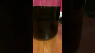 #homebrew #newcastlebrownale #beckerbrew #homebrewers #homebrewing #homebrewer #makingbeer #brownale