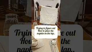 Napkin Etiquettes #shortvideo #reyanshshirohavlogs #napkin