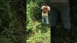 Cleaning My Overgrown Land | Grass Brush Cutter Satisfying Video 🌿