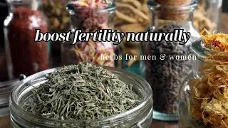 herbs that boost fertility naturally. herbs & natural supplements for fertility