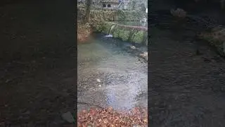 Levadia River Flow Sounds | White Noise To Help You Relax, Study or Sleep | Nature Video