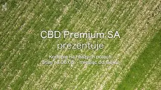 CBD Premium S.A.: uprawy konopi