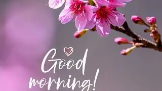 Good Morning. Happy Saturday.Have a Great Day ! Whatsapp Status